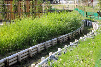 ジブリパーク整備事業 もののけの里