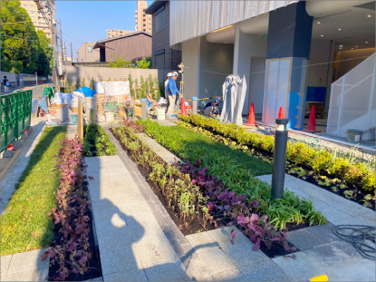 ホーユーヘアカラーミュージアム 外構植栽工事04