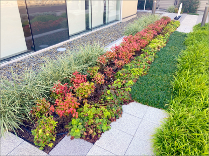 ホーユーヘアカラーミュージアム 外構植栽工事04