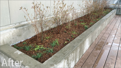 岐阜市新庁舎の立体駐車場 壁面緑化と花壇植栽工事