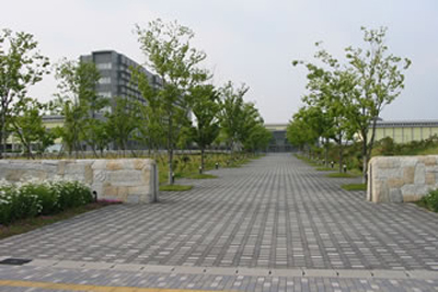 花のキャンパス看護大学