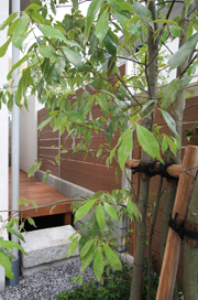 邸宅分譲 茜部菱野