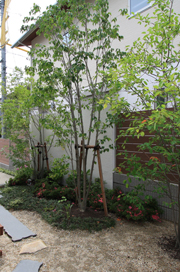 邸宅分譲 茜部菱野