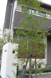 邸宅分譲 加納矢場町