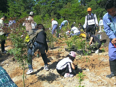 1本1本丁寧に植栽する参加者