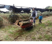 第44回 H24年5月 間引きした木を原木にしてきのこ栽培に利用