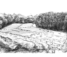 第55回 H25年10月 ヒノキ林に入りスケッチした