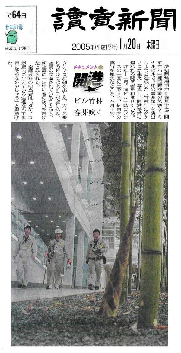 中部国際空港セントレア マダケ植栽（２）