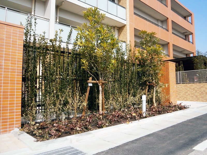 四季を通して楽しめる植栽 勝川駅前マンション