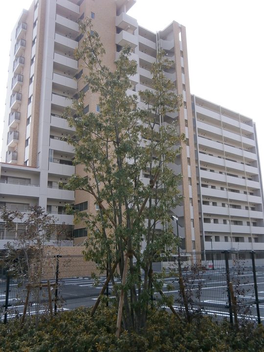 四季を通して楽しめる植栽 勝川駅前マンション