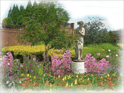 長良公園の運営・管理を指定管理者として行っております