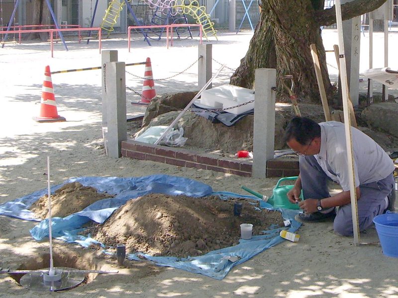 白山小学校のオオバヤナギの樹勢回復治療