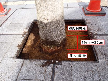 樹木の根元保護に芝生保護材を応用する
