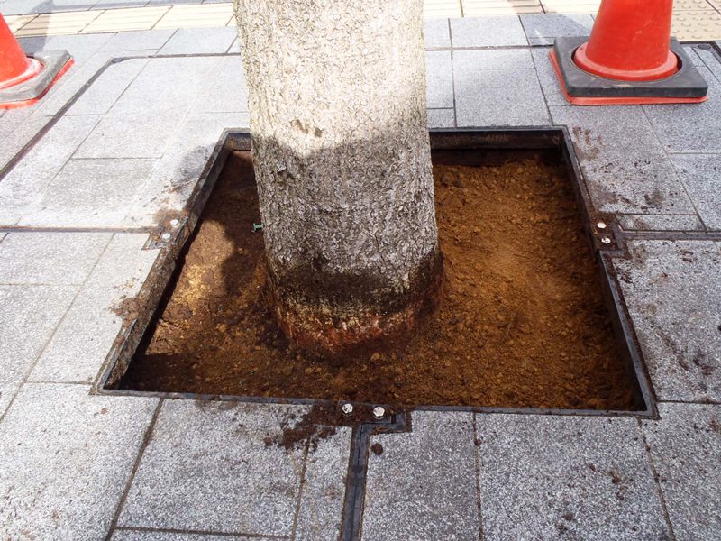 樹木の根元保護に芝生保護材を応用する