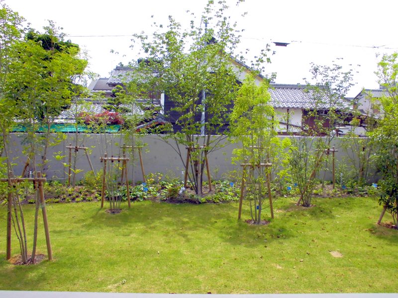 森の中にいるような雰囲気の立派なお庭