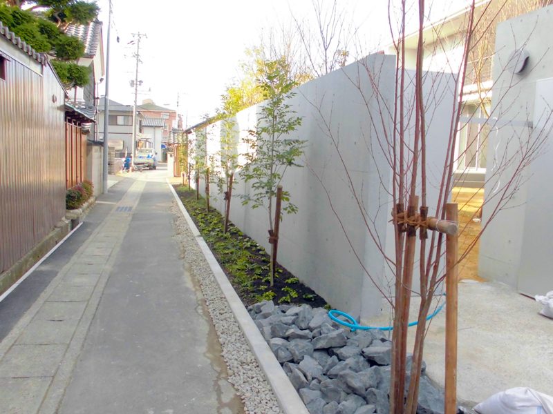 森の中にいるような雰囲気の立派なお庭