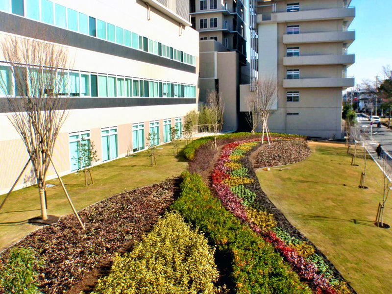 社会医療法人大型病院の植栽環境整備工事