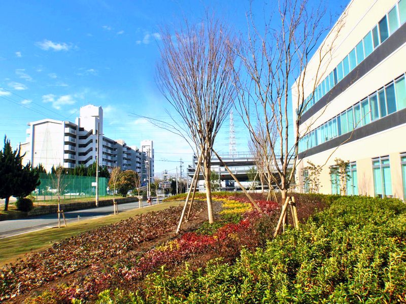 社会医療法人大型病院の植栽環境整備工事