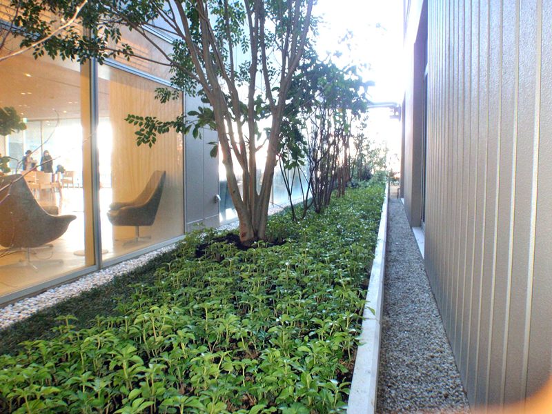 社会医療法人大型病院の植栽環境整備工事