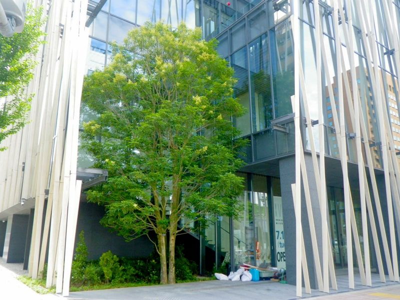 名古屋の中心地で隈研吾氏の景観デザイン