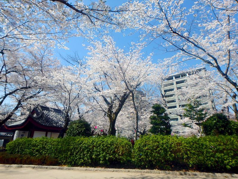 岐阜公園に楽しい遊具広場が完成しました