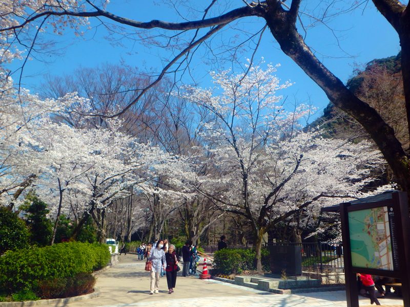 岐阜公園に楽しい遊具広場が完成しました