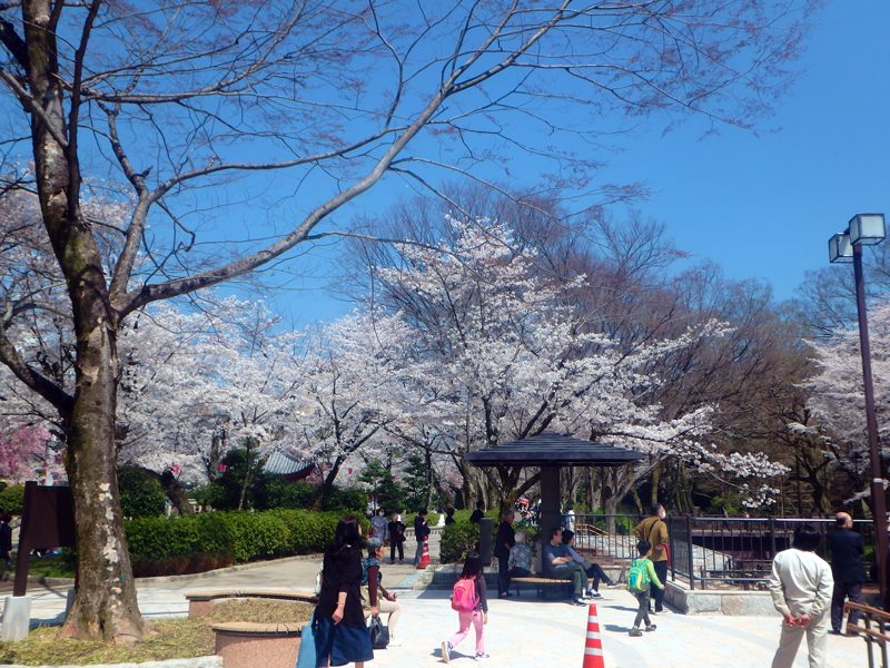 岐阜公園に楽しい遊具広場が完成しました