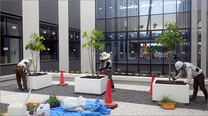 中部国際医療センター