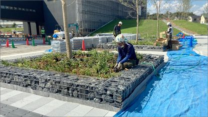 中部国際医療センター