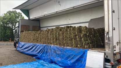 中部国際医療センター
