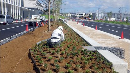 中部国際医療センター