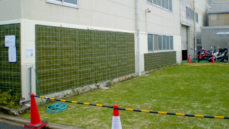 「みどりの助成金」を利用した工場緑化