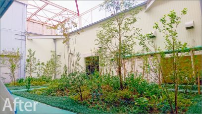 「みどりの助成金」を利用した工場緑化