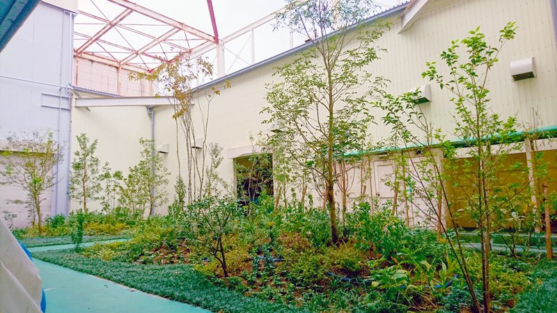 「みどりの助成金」を利用した工場緑化の画像