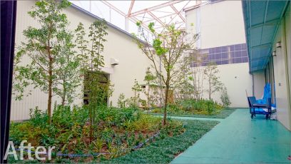 「みどりの助成金」を利用した工場緑化