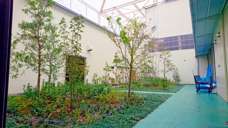 「みどりの助成金」を利用した工場緑化