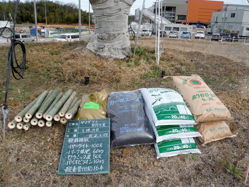 東郷町中央土地区画整理地内 ヤマザクラ移植後2年次診断