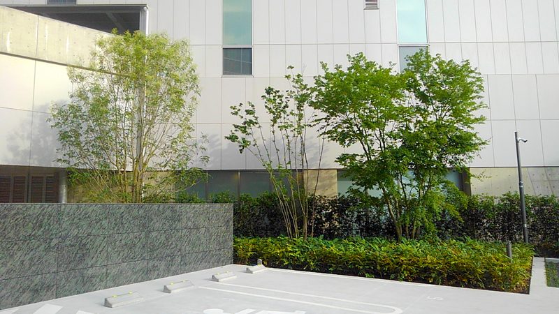 名駅ダイヤメイテツビル 外構植栽工事