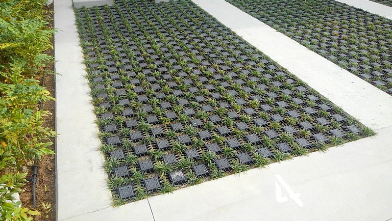 名駅ダイヤメイテツビル 外構植栽工事