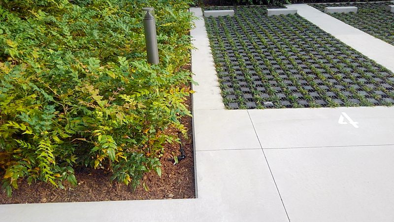 名駅ダイヤメイテツビル 外構植栽工事