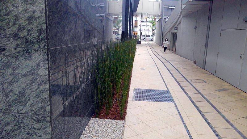 名駅ダイヤメイテツビル 外構植栽工事