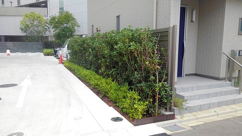 名駅ダイヤメイテツビル 外構植栽工事