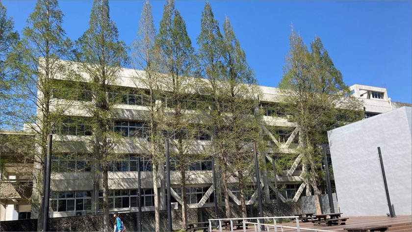 愛知教育大学 メタセコイヤ樹木伐採工事