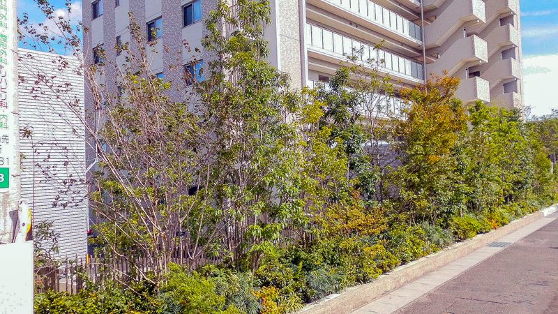名古屋市緑区ライオンズ徳重グランヒルズ 外構植栽工事