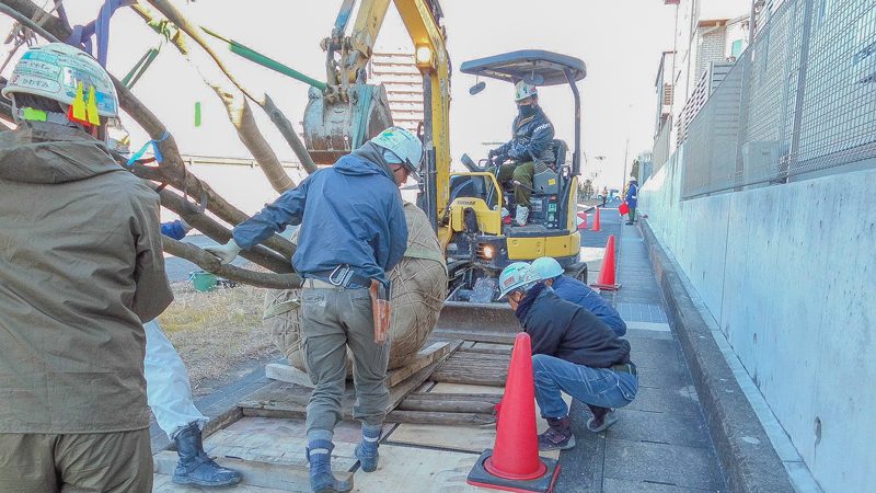 名古屋市緑区ライオンズ徳重グランヒルズ 外構植栽工事