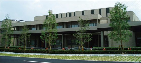 大切なお別れの時間を緑のベールで彩りますの画像