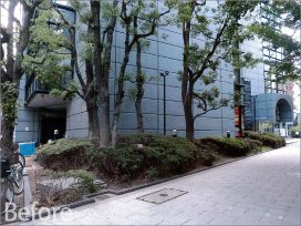 大阪市某御堂筋ビル 緑地帯植栽工事