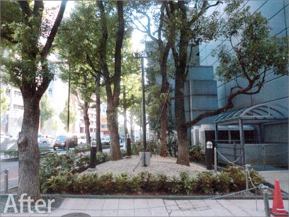 大阪市某御堂筋ビル 緑地帯植栽工事