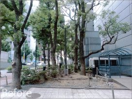 大阪市某御堂筋ビル 緑地帯植栽工事