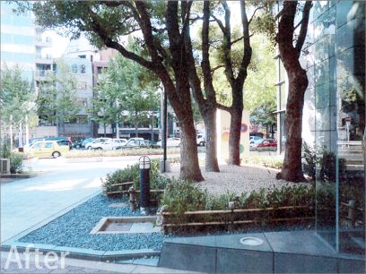 大阪市某御堂筋ビル 緑地帯植栽工事